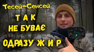 ⚡Тесей. Я НЕ ЧЕКАВ  на такі АРТЕФАКТИ. СУПЕР КОП⚡ Пошуки з металошукачем в Україні. Пошук скарбів