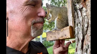 The heartwarming story of a truly enchanting grey squirrel