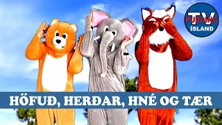 Höfuð, herðar, hné og tær - Barnalög