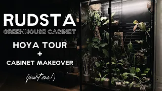 ikea rudsta hoya greenhouse tour + makeover (part 1!)