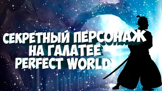 ПЕРСОНАЖ КОТОРЫЙ НЕ ВЫХОДИЛ В СВЕТ. ПЛАНЫ НА ПАЛАДИНА | PERFECT WORLD