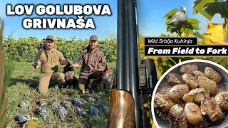 Lov Golubova Grivnaša sa Lokerima| WILD Srbija kuhinja| Wood pigeon hunt over decoys E209