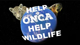 BEST VIDEO EVER DONE !!! HELP ONCA - HELP WILDLIFE // FUNDRAISER