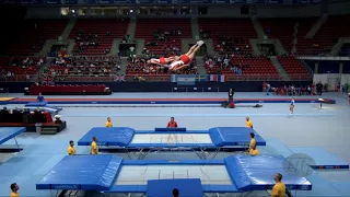 Japan 1 (JPN) - 2017 Trampoline Worlds, Sofia (BUL) - Qualification Synchro Routine 2