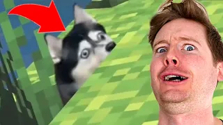 UNUSUAL MEMES COMPILATION V130 REACTION