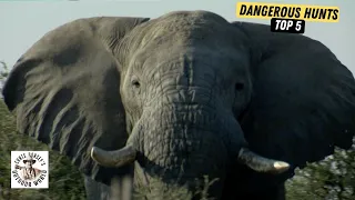 Top 5 Most Dangerous Hunts