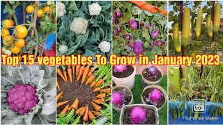 Top 15 vegetables to grow in January 2023 |winter vegetables for beginners