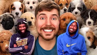 MR BEAST Rescued 100 Abandoned Dogs! THIS VIDEO REALLY MADE US SMILE!! THANK YOU SO MUCH MR BEAST!