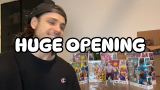 Huge Dragon Ball SH Figuarts Unboxing