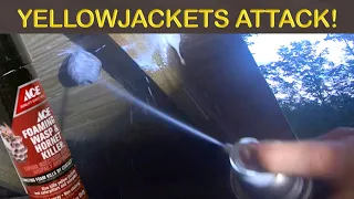 Killing Yellowjackets with Ace Hardware Foaming Wasp & Hornet Spray