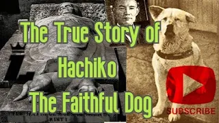 The True Story of Hachiko - The Faithful Dog