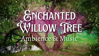 Enchanted Willow Tree 🌿✨ | Healing Harp Music | Enchanted Forest Music & Meditation