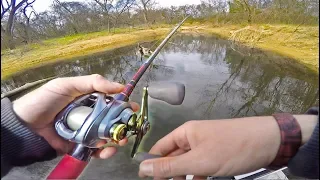 Super Shallow Water Fishing For Backwater Giants! (Big Bass)