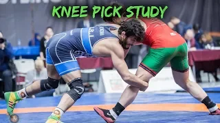 Hassan Yazdani - Knee Pick Study
