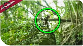 10 रहस्यमय जानवर जिन्हे पहली बार देखा गया | 10 Mysterious Animals