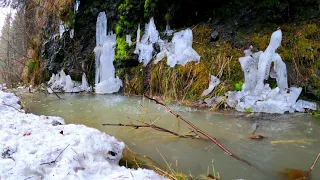 Melting Snow and Heavy Rain Relaxing Nature Sounds In The Spring Forest