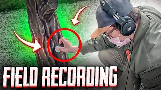 ЧТО ТАКОЕ FIELD RECORDING? ЗАПИСЬ ЗВУКОВ И БИБЛИОТЕКА