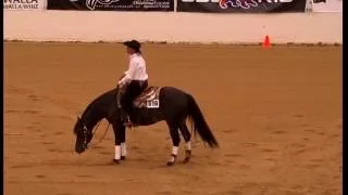 Whizzin In The Wind, High Roller Reining Classic 2016