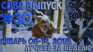 Cube best weekly лучшее по версии COUBik за неделю январь 2018 Выпуск #30