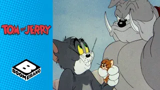 Jerry's Bodyguard | Tom & jerry | Boomerang UK
