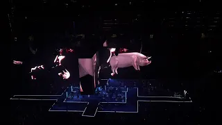 Roger Waters - Sheep