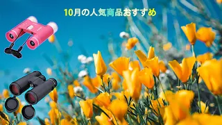 10月の人気商品おすすめ