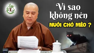 Vì sao KHÔNG NÊN Nuôi Chó Mèo trong nhà? - Vấn Đáp Thầy Thích Pháp Hòa