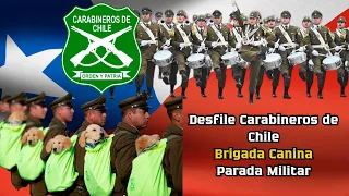 Desfile Carabineros de Chile - Brigada Canina - Parada Militar 2023