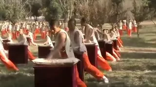 Наработка ударов пальцами и кистями в Шаолине  / Hads and fingers Shaolin workout