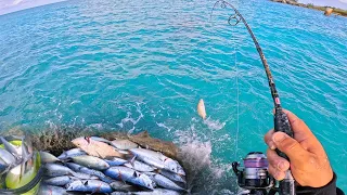 I HOOKED A MONSTER (Crazy non-stop action)