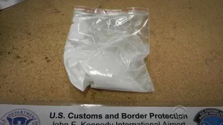 U.S. Customs and Border Patrol seize record amount of fentanyl and other opioids