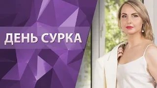 День сурка