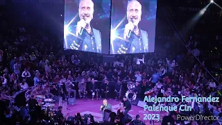 Alejandro Fernandez Palenque Cln 2023