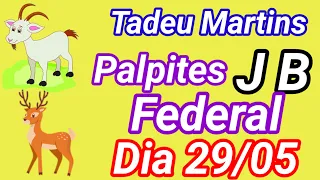 PALPITES DO JB ^^ DIA 29 DE MAIO @Canal Tadeu martins