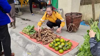 FULL VIDEO: 35 Day Go to the market to sell ginger, green vegetables, Orange | Build Bamboo House.