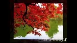 Какая осень: очень красивое видео