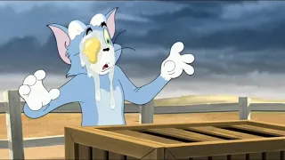 Tom and Jerry | New all in one comedy | Best of all comedy shows | © GK ENTERTAINMENT ™