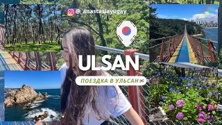 KOREA VLOG: Путешествие по Южной Корее | Ульсан. 울산 여행 | PNU LEI