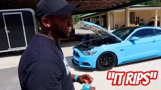 Hard Pulls! Reacting to 836RWHP Whipple Supercharged Mustang on E85