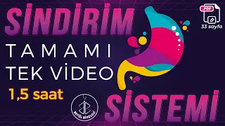 Sindirim Sistemi Tekrar | TAMAMI TEK VİDEO | 33 Sayfa PDF | AYT Biyoloji Konu Anlatımı