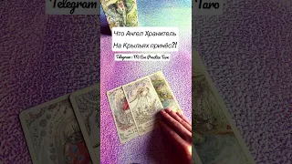 Что Ангел Хранитель на Крыльях принёс💎✨#shorts #tarot #таро #душа #ангелхранитель #ангел #поток