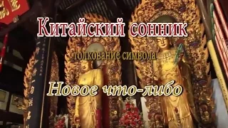 К чему снится Новое что-либо сонник, толкование сна