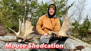 Moose Shed hunt - Northern Ontario 2024