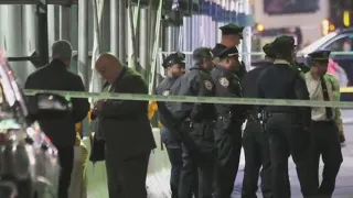 Woman found dead after fall from NYC hotel roof: NYPD