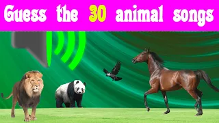 Guess the Animal Sound Challenge | Wildlife Trivia | 30 Animal Sounds Quiz