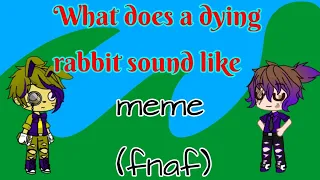 What does a dying rabbit sound like meme | Joel Peter Gacha | future aftons | Subscribe(read desc)