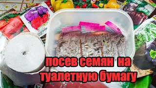 Взошли семена на туалетной бумаге. Способ посева  семян на туалетную бумагу в кипяток.