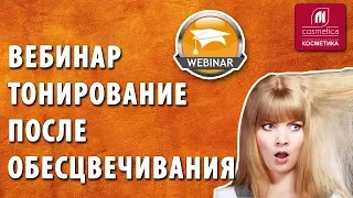 Тонирование после обесцвечивания. Вебинар с экспертом Ириной Гавриловой. Как реанимировать волосы?