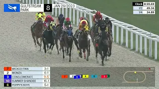 Gulfstream Park Carrera 8 (The Gun Runner Starter Handicap) - 29 de Enero 2023