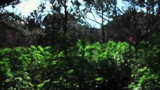 DWR Law Enforcement:  Marijuana Eradication